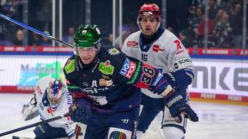 eisbären liefern eine idee von der zukunft