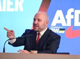 new york: afd plant kongress mit us-republikanern in berlin