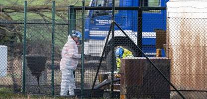 brandenburg: pipeline rostock-schwedt nach unfall wieder in betrieb genommen