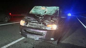 tödlicher spaziergang auf der a20: fußgänger in der nacht von auto erfasst