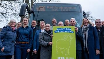 Von Ost nach West in 67 Stopps: Warum alle diese Heidschnucke lieben