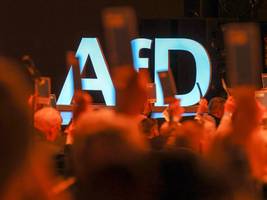 afd: wahlen? müssen wir gar nicht gewinnen