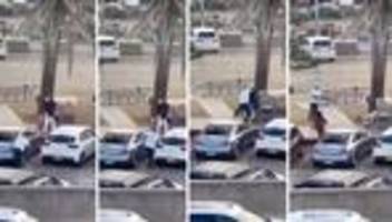 Antisemitischer Terroranschlag in Sydney: Video zeigt Entwaffnung eines Attentäters durch einen Passanten