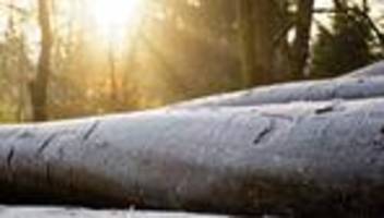 temperaturen sinken: sonnige tage und frostige nächte in hessen