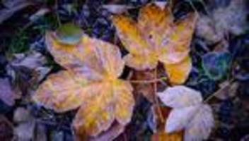 wetter: ruhiges wetter mit milden temperaturen