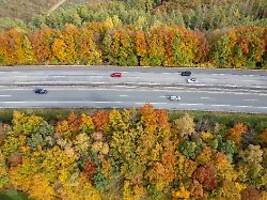 mann setzte sich bereits ab: hände auf a45 gefunden: haftbefehl gegen lebensgefährten erlassen