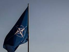 schon lange nicht realistisch?: experte: kiews nato-verzicht ändert überhaupt nichts