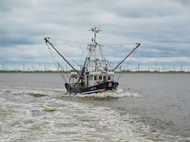 Sehr schwierige Zeiten: Nordsee-Fischer dürfen deutlich weniger fangen