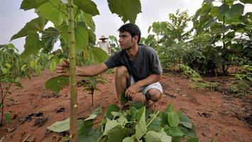 hamburg zahlt für klimaprojekte weltweit, aber zu hause fehlt das geld