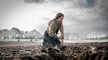 „schwarzes gold“ in der ard: der Öl-boom in niedersachsen als top-drama