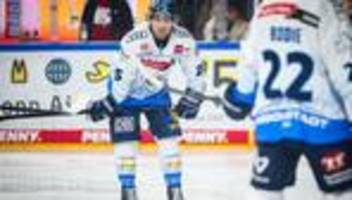 champions hockey league: ingolstadt verpasst halbfinale in eishockey-champions-league