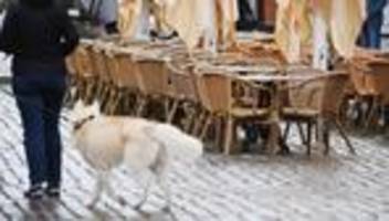 hotels, restaurants, kneipen: stagnierende umsätze im gastgewerbe - weniger beschäftigte