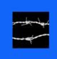 KI-Bilder des Holocaust: Leid klickt gut