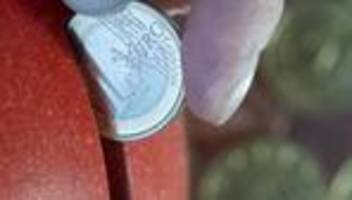 Umfrage: Gen Z vertraut Eltern in Geldfragen – trotz Wissenslücken