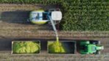 Handelsabkommen: EU-Parlament fordert besseren Schutz für Bauern bei Mercosur-Abkommen