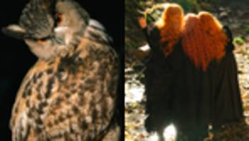 hexenverfolgung: der tod dreier hexen