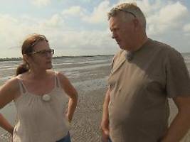 bauer sucht frau: liebesfrust am nordseestrand