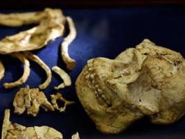 Geheimnis von Little Foot: Neue Art menschlicher Vorfahren entdeckt?