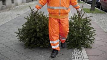wann die bsr bei ihnen den weihnachtsbaum abholt – die termine im Überblick