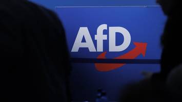„Leckt die Fahne sauber!“ AfD-Politiker soll Jugendliche misshandelt haben