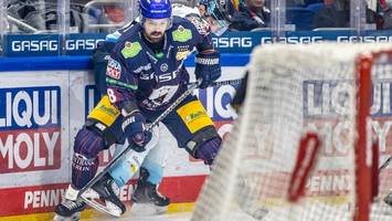 eisbären-verteidiger nowak wechselt ins management