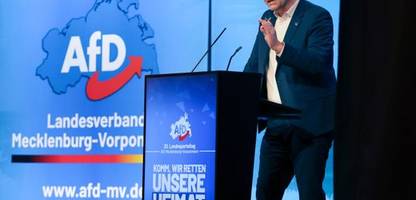 Mecklenburg-Vorpommern: AfD will Kommunalpolitiker wegen Demütigung von Jugendlichen rauswerfen