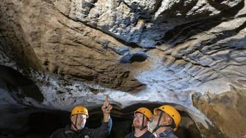 Felskunst in Australien: Forscher entdecken Jahrtausende alte Gesten