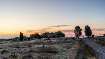 Zauberhaft schön: Lüneburger Heide lädt zur Neujahrswanderung