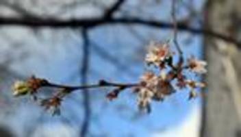 wetter: bis zu 13 grad – nrw bekommt freundliche wintertage