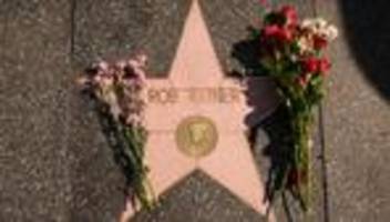 Mord an Hollywood-Regisseur: Staatsanwaltschaft reicht Mordanklage gegen Rob Reiners Sohn ein