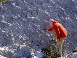 abdrücke, zehen, krallen: fotograf entdeckt tausende dinosaurier-spuren in den alpen