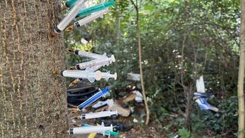 Drogenproblem in der Hasenheide: Erneut stecken Spritzen im Baum