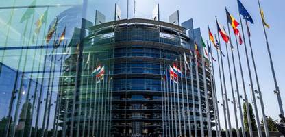 ukraine: sicherheitsbedenken wegen afd-abgeordnetem bei eu-delegation