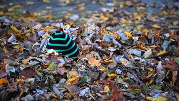 Einbrecher versteckt sich unter Laubhaufen –  dann geht er auf Polizisten los