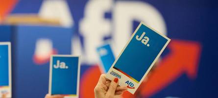 warum sich im osten so viele jungwähler mit der afd identifizieren