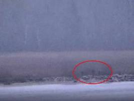 Video zeigt Vorfall: Russische Grenzschützer übertreten Grenze zu Estland