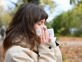 wenig fehlzeiten im gastgewerbe: krankmeldungen im einzelhandel auf höchstem stand seit 2003