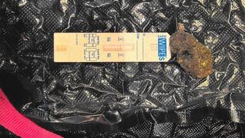 Riesiger Cannabisfund am Flughafen BER – Frau aus New York erwischt