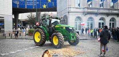 eu: landwirte protestieren in brüssel gegen mercosur-abkommen