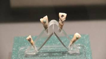 Faszinierende Funde geben überraschende Einblicke in alte Maya-Rituale