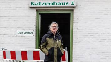 krise in hamburger tierheim: einrichtung ist seit wochen ohne leitung