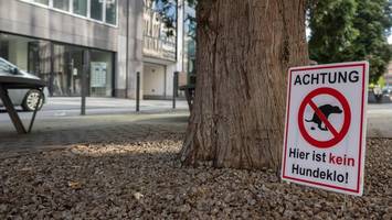 Großer Städtevergleich: So teuer können Hundehaufen in Hamburg werden