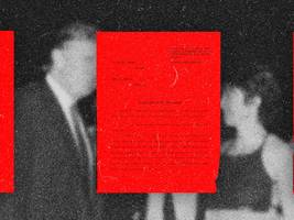 USA: Was sind die Epstein-Akten - und warum werden sie jetzt freigegeben?