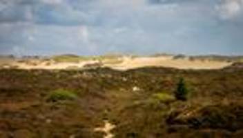 Grundstücksauktion 2025: Landwirtschaftsfläche auf Sylt für 131.000 Euro versteigert