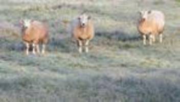 Wetter: Schnee lässt im Südwesten weiter auf sich warten