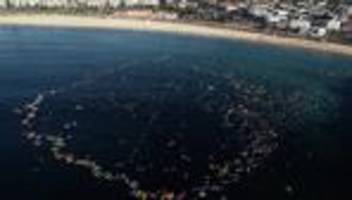 anschlag in sydney: anthony albanese kündigt waffenrückkauf durch regierung an