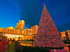 Einmal im Leben: Lauter die Glocken nie klingen