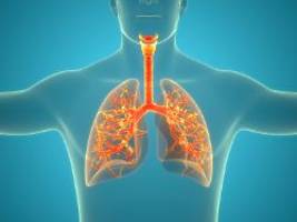 Mette Marit ist betroffen: Was ist eine Lungenfibrose und wie wird sie behandelt?