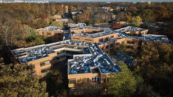 Abriss droht – Hoffnung für Natur und „Sternhäuser“ wegen eines Käfers?