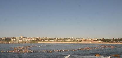 Australien will Hunderttausende Waffen zurückkaufen und vernichten